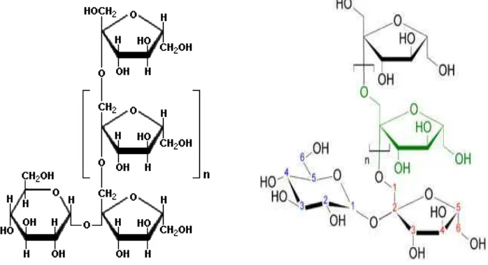 Gambar 2. Struktur kimia Inulin 