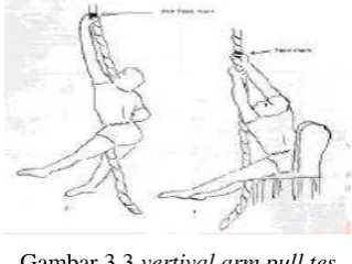 Gambar 3.3 vertival arm pull tes 