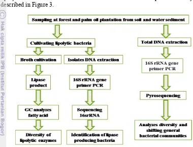 Figure 3 Diagram of general methods of this study  