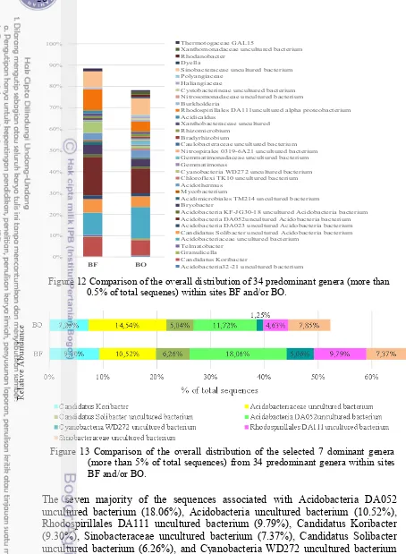 Figure 12  Comparison of the overall distribution of 34 predominant genera (more than 