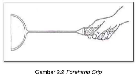 Gambar 2.1 American Grip 