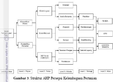 Gambar 3. Struktur AHP Persepsi Kelembagaan Pertanian 