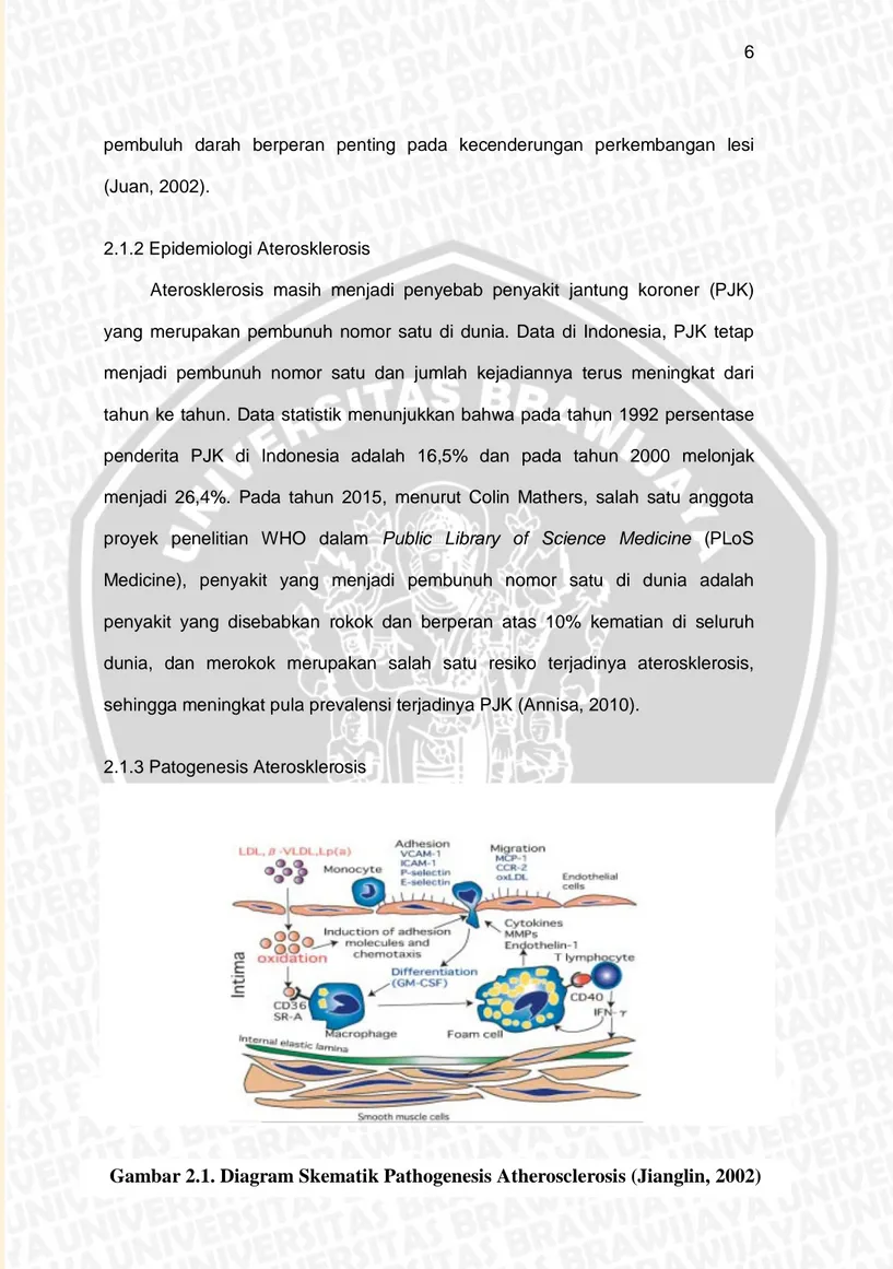 Gambar 2.1. Diagram Skematik Pathogenesis Atherosclerosis (Jianglin, 2002)