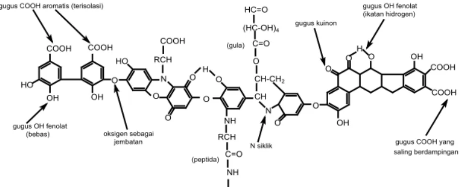 Gambar 2.4 Struktur hipotetik asam humat menurut 