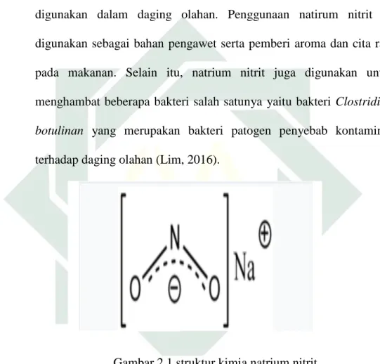 Gambar 2.1 struktur kimia natrium nitrit  Sumber: (Chan, 2001) 