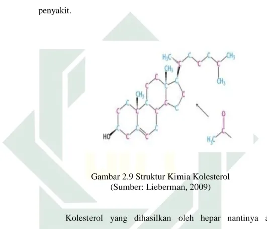 Gambar 2.9 Struktur Kimia Kolesterol  (Sumber: Lieberman, 2009) 