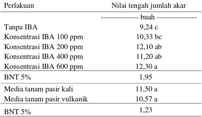 Tabel 3.  Pengaruh perlakuan konsentrasi IBA (Indole Butyric Acid) dan jenis      media tanam terhadap jumlah akar primer bibit tanaman nanas