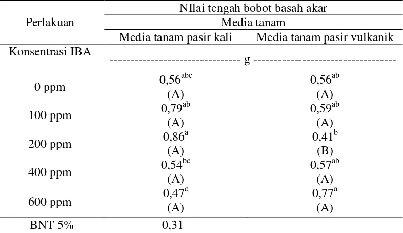 Tabel 4.    Pengaruh perlakuan konsentrasi IBA (Indole Butyric Acid) dan jenis        