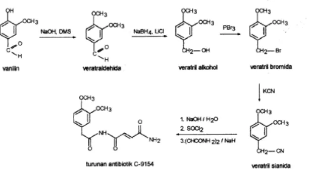 Gambar 1 Skema reaksi pembentukan turunan antibiotik C-9154 