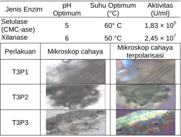Tabel 4 Aktivitas selulase dan xilanase  Jenis Enzim  pH  Optimum  Suhu Optimum (°C)  Aktivitas (U/ml)  Selulase  (CMC-ase)  5  60° C  1,83 × 10 5 Xilanase  6  50 °C  2,45 × 10 7