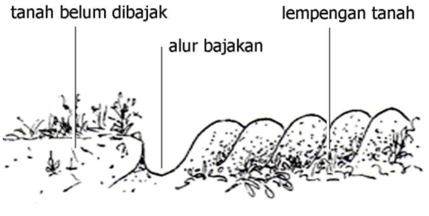 Gambar 36 : Pola Tepi 