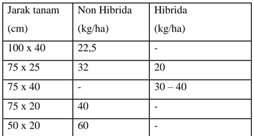 Tabel 3 Jarak Tanam dan Kebutuhan Benih Jagung   Jarak tanam  (cm)  Non Hibrida (kg/ha)  Hibrida (kg/ha)  100 x 40  22,5  -  75 x 25  32  20  75 x 40  -  30 – 40  75 x 20  40  -  50 x 20  60  -  4)