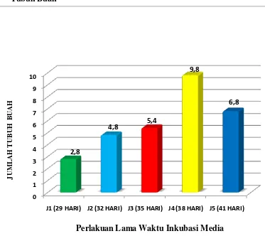 Gambar 4.2 Grafik Pengaruh Lama Waktu Inkubasi Media Terhadap Produksi Jamur Tiram Putih (Pleurotus ostreatus) Berdasarkan Jumlah Tubuh Buah 