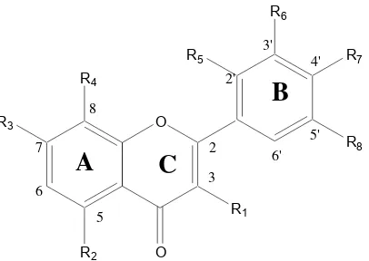 Gambar 1  Struktur dasar senyawa turunan flavon dan flavonol 