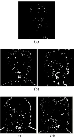 Gambar 7. Hasil Ekstraksi Piksel Bibir Jenis Kesalahan Segmentasi (a) hidung dan dagu (b) bibir bawah (c)  bibir atas (d) citra kurang akurat