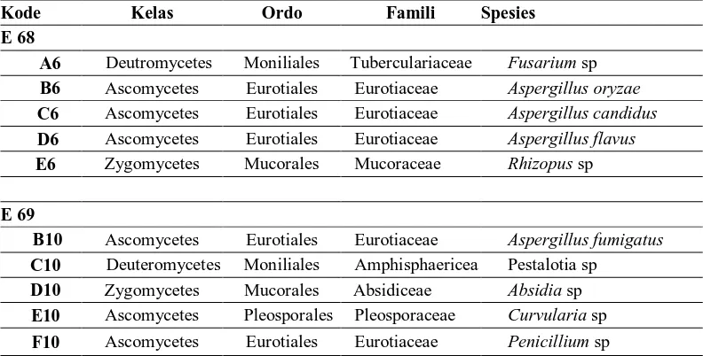 Tabel 1. Isolat fungi endofit yang diperoleh dari dua compartment  