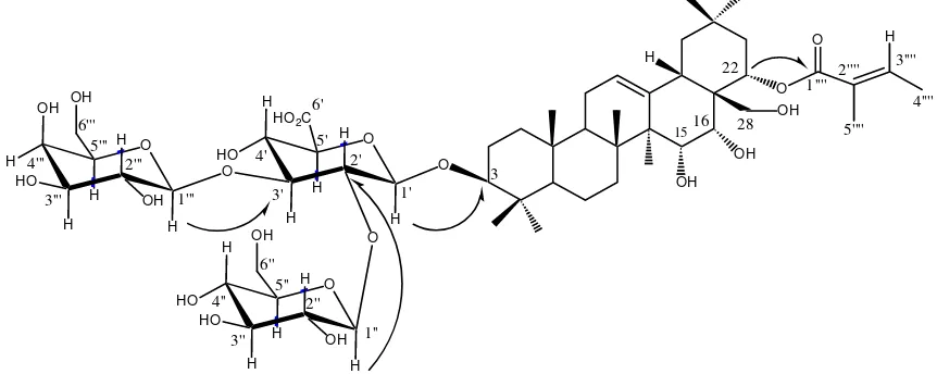 Gambar 2 Korelasi HMBC untuk penentuan posisi rantai gula dan bagian asam dalam 4 