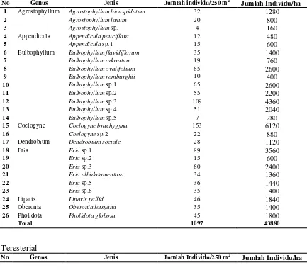 Tabel 2. Komposisi Jenis Anggrek Pada Ketinggian 1200-1300 mdpl 