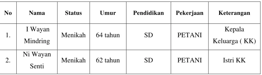 Tabel 1.1 Identitas I Wayan Mindring 