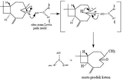 Gambar 9 Perkiraan mekanisme pembentukan senyawa kariofilen-5-on dengan katalis zeolit 
