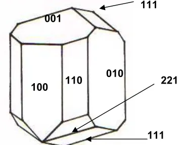 Fig. 1 The morphology of borax crystal [11-13] 