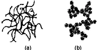 Gambar 5 Representasi skematik silika gel yang disintesis dengan katalis asam (a) dan basa (b)