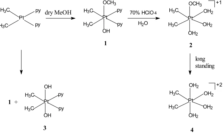 Figure 1 The preparative route of complex 1 and 2