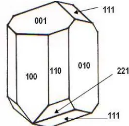 Figure 1 The morphology of borax crystal [11-13]