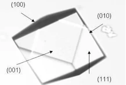 Figure 1.Borax crystal grown in aqueous solution