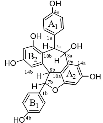 Tabel 1 Harga geseran kimia dari spektrum 13C dan 1HNMR senyawa (-)-ampelopsin A dalam pelarut CD3ODhasil isolasi dibandingkan dengan (-)-ampelopsin Ayang diisolasi dari Shorea seminis