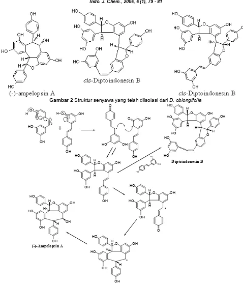 Gambar 2 Struktur senyawa yang telah diisolasi dari D. oblongifolia