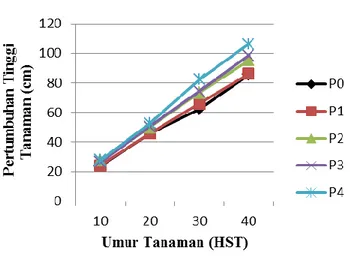 Gambar 1. Pola pertumbuhan tinggi tanaman pada  umur 10 HST- 40 HST 
