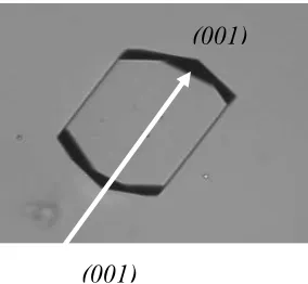 Fig 2 Schematic diagram of the (001) face from boraxcrystal measurement within optical in situ growth cell