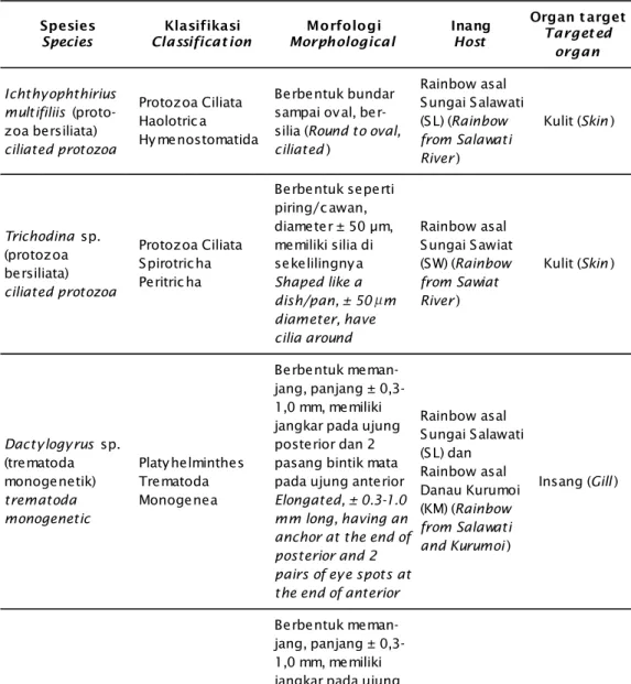 Tabel 2. Klasifikasi, morfologi, dan organ target infeksi parasit pada ikan rainbow