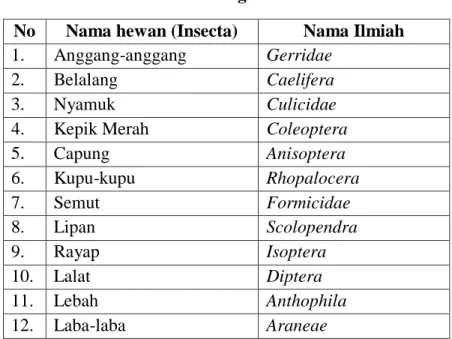 Tabel 2.3 Ekosistem Serangga (Insecta) Daerah Aliran Sungai (DAS)  Lawe Sigala II 