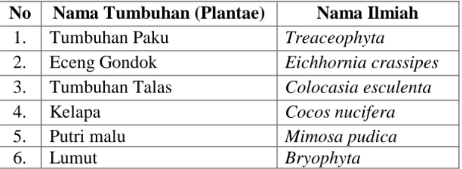 Tabel 2.4 Ekosistem Tumbuhan (Plantae) Daerah Aliran Sungai  (DAS) Lawe Sigala II 