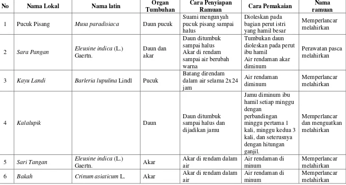Tabel 4.2. Jenis-jenis Tumbuhan Obat yang Ditemukan di Kecamatan Teweh Selatan Berdasarkan Informasi Battra 1 Wahidah di Desa Bintang Ninggi I 
