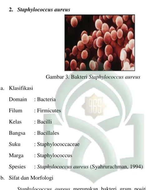 Gambar 3. Bakteri Staphylococcus aureus a. Klasifikasi Domain : Bacteria Filum : Firmicutes Kelas : Bacilli Bangsa : Bacillales Suku : Staphylococcaceae Marga : Staphylococcus