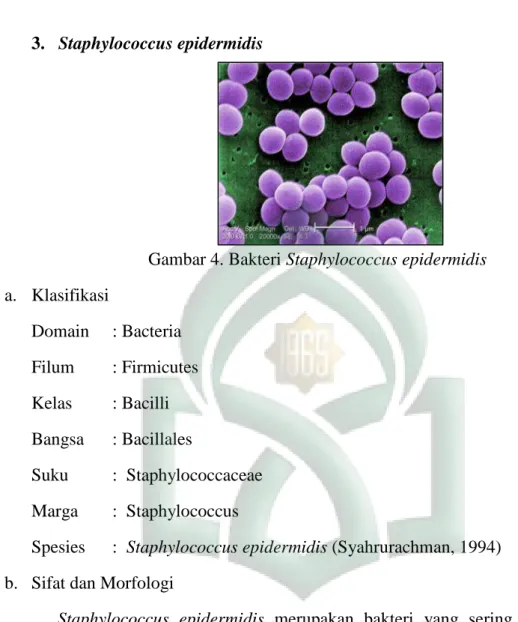 Gambar 4. Bakteri Staphylococcus epidermidis a. Klasifikasi Domain : Bacteria Filum : Firmicutes Kelas : Bacilli Bangsa : Bacillales Suku : Staphylococcaceae Marga : Staphylococcus