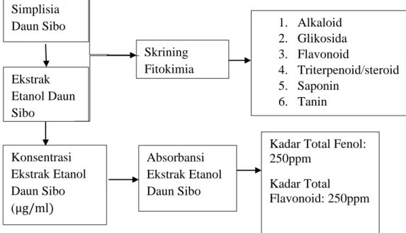 Gambar 1.1 Kerangka Penelitian Simplisia Daun Sibo Ekstrak Etanol Daun Sibo Skrining Fitokimia  1