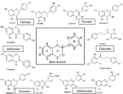 Gambar 2.2 Struktur Kimia-Kimia Tipe Flavonoid. 