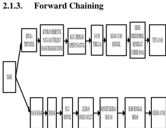 Gambar 5 Diagram  Forward Chaining penyakit  Tifus Ayam dan penyakit Kolera Ayam.  IF Diare 