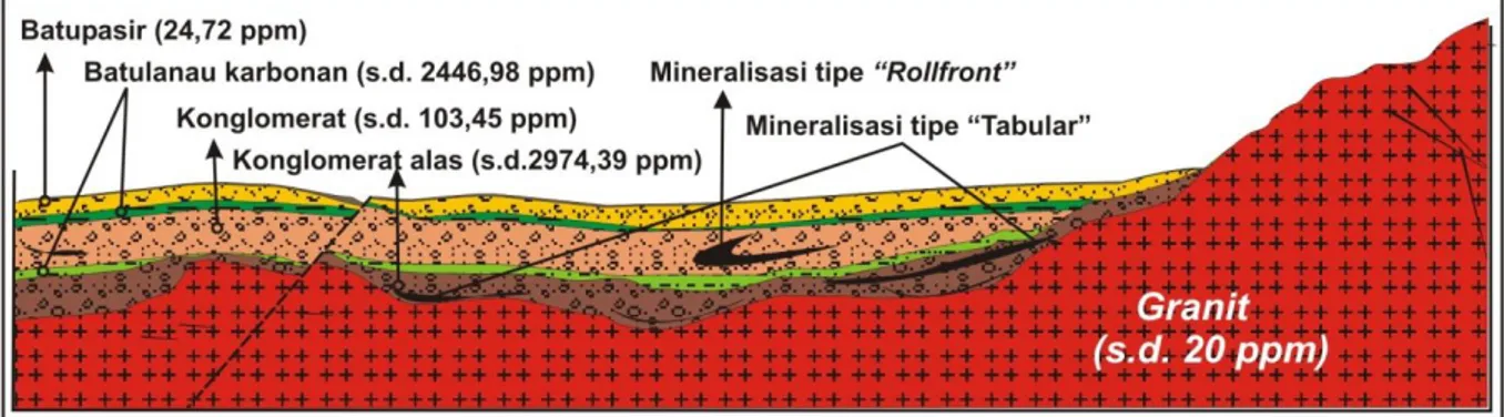 Gambar 8. Ilustrasi proses pembentukan dan jenis endapan mineral radioaktif pada batuan sedimen dengan batuan  sumber granit.