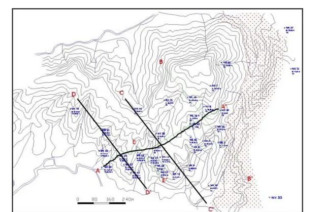 Gambar  4. Peta topografi dan lintasan penampang geologi melintasi beberapa titik bor [7]