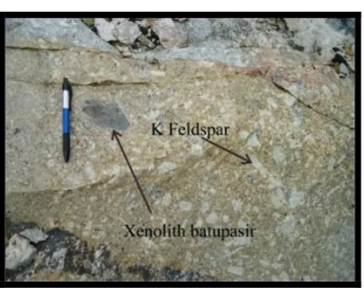 Gambar  6.  Foto  kenampakan  K-feldspar  sebagai  mega  kristal  dan  xenolith  batupasir  pada  singkapan  granit di Desa Air Belo 