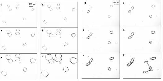 Fig 6. (a-f) In situ crystal growth experiment at 25 °C and relative supersaturation of 0.21 without additive after (a) 0, (b) 20, (c) 40, (d) 60, (e) 100 and (f) 220 minutes   
