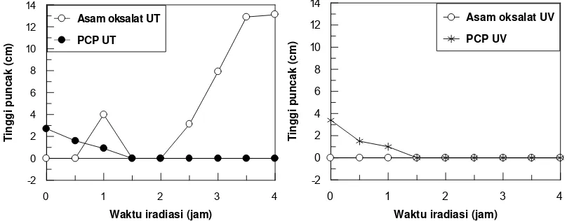 Gambar 8.  Tinggi puncak kromatogram HPLC dari PCP dan asam oksalat dalam sistim UT dan UV 