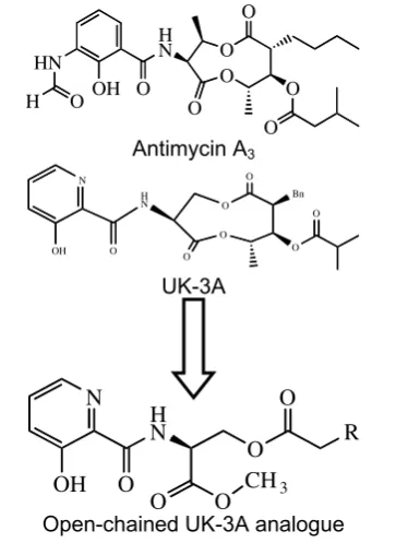 Fig 1. Structures of AA, UK-3A and analogue. 