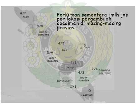 Gambar 1. Perkiraan Jumlah Jenis Freycinetia di Masing-Masing Propinsi di Sumatera  