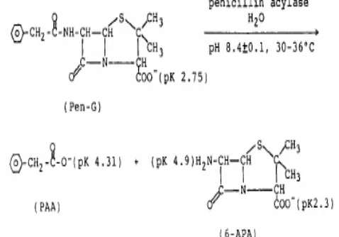 Fig 1. The influence of pH an hydrolysis of penicillin G [2].  